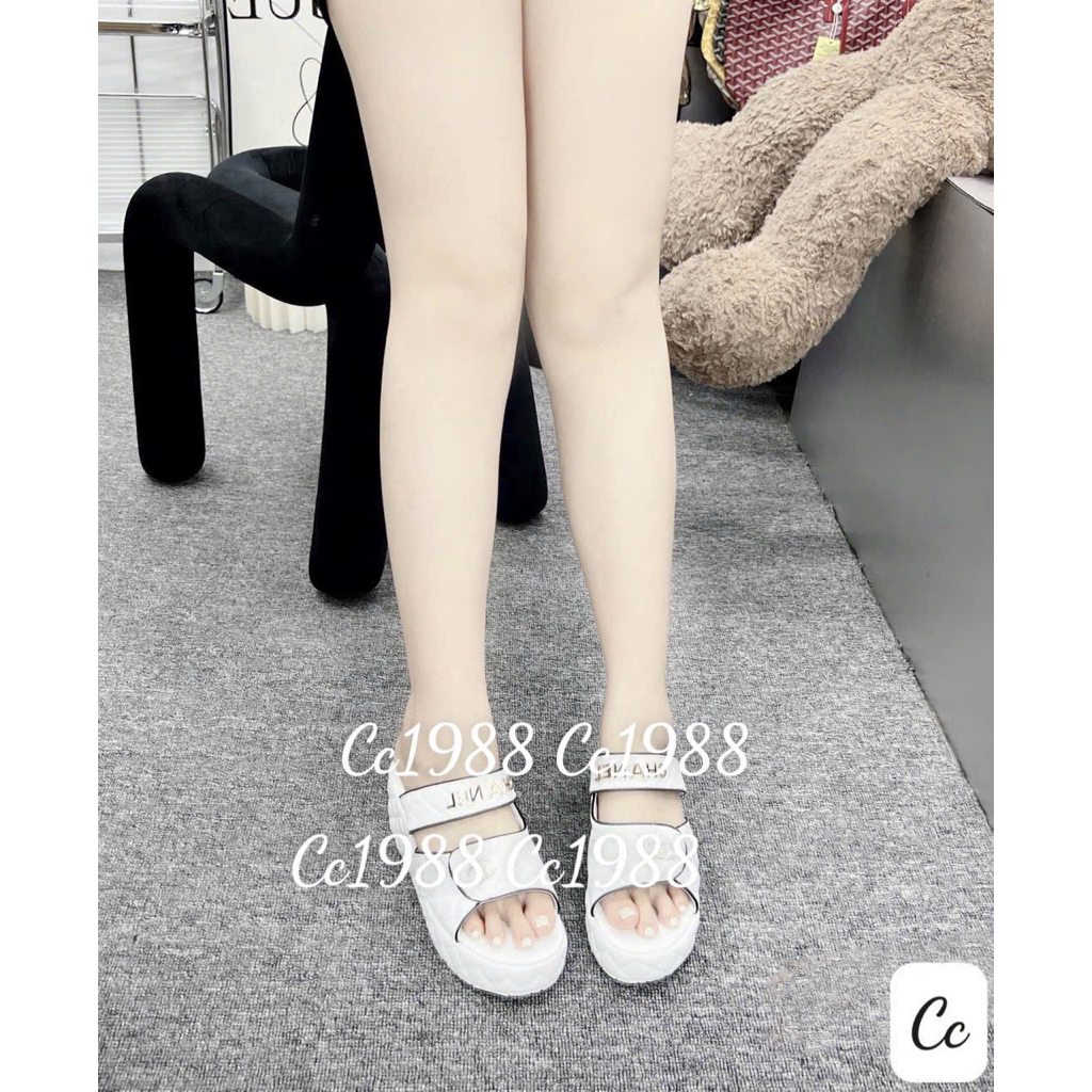 Lê xuồng chần chỉ Qccc