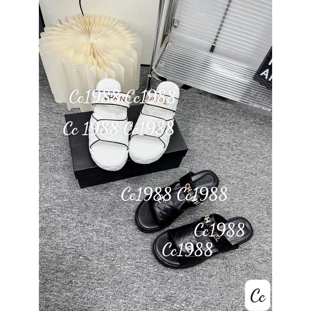 Lê xuồng chần chỉ Qccc
