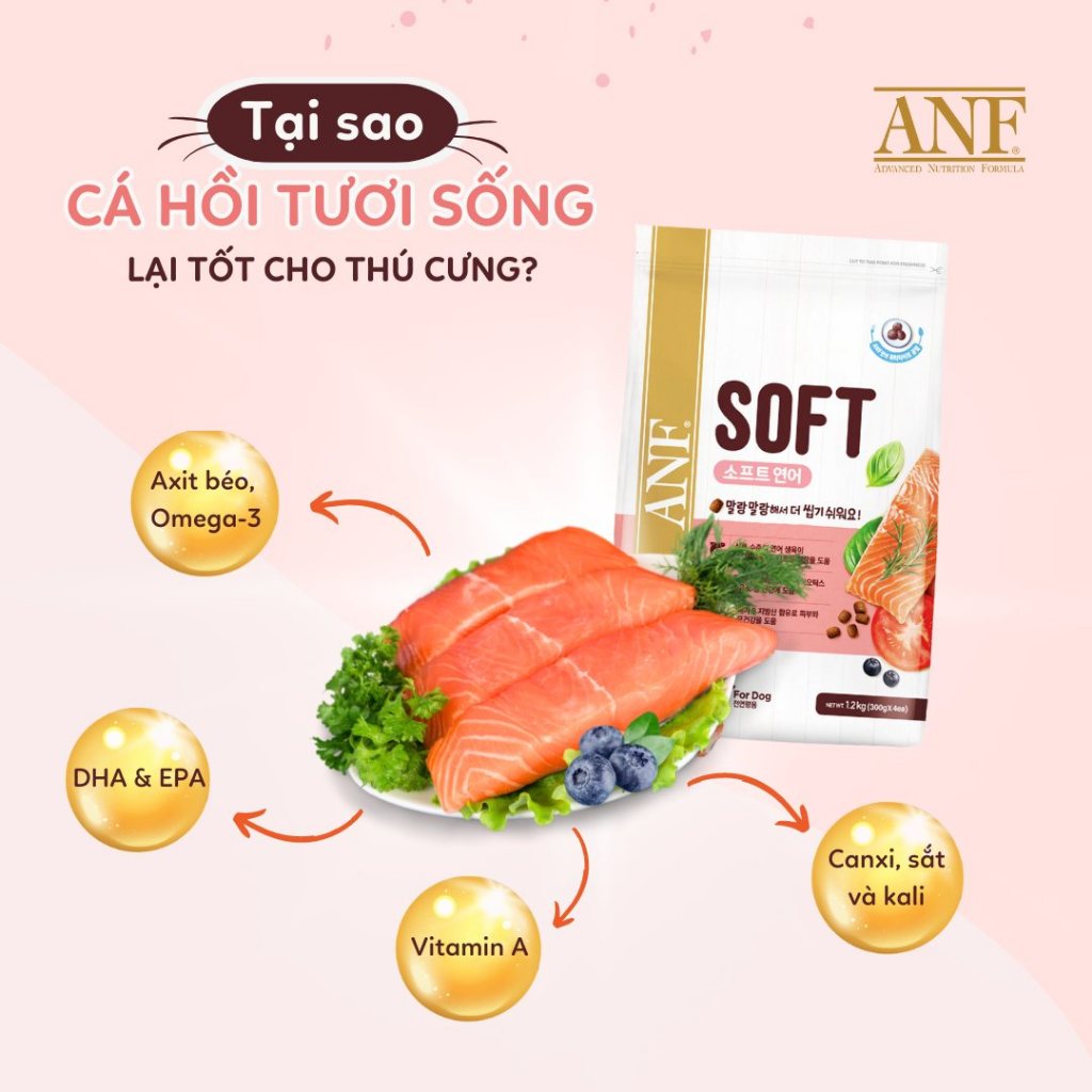 [1.2KG] ANF SOFT - Thức ăn hạt mềm cho chó mọi lứa tuổi vị Gà/Cá hồi