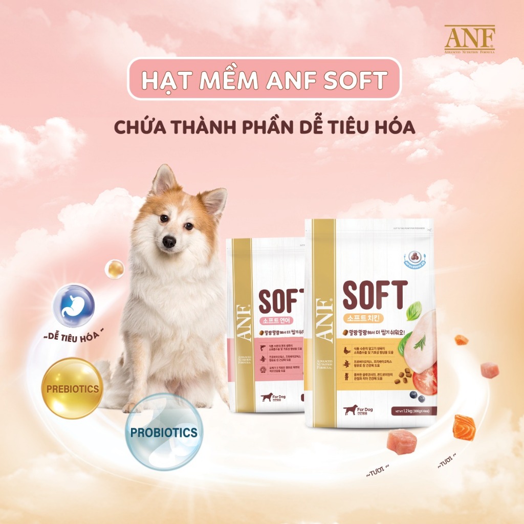 [300GRAM] ANF SOFT - Thức ăn hạt mềm cho chó dễ nhai tốt cho tiêu hóa mọi lứa tuổi vị Gà/Cá hồi 300gram