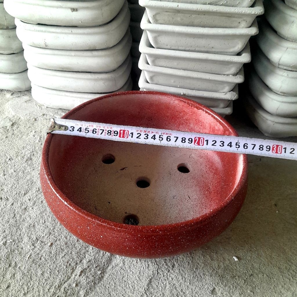Chậu trồng cây bonsai để bàn
