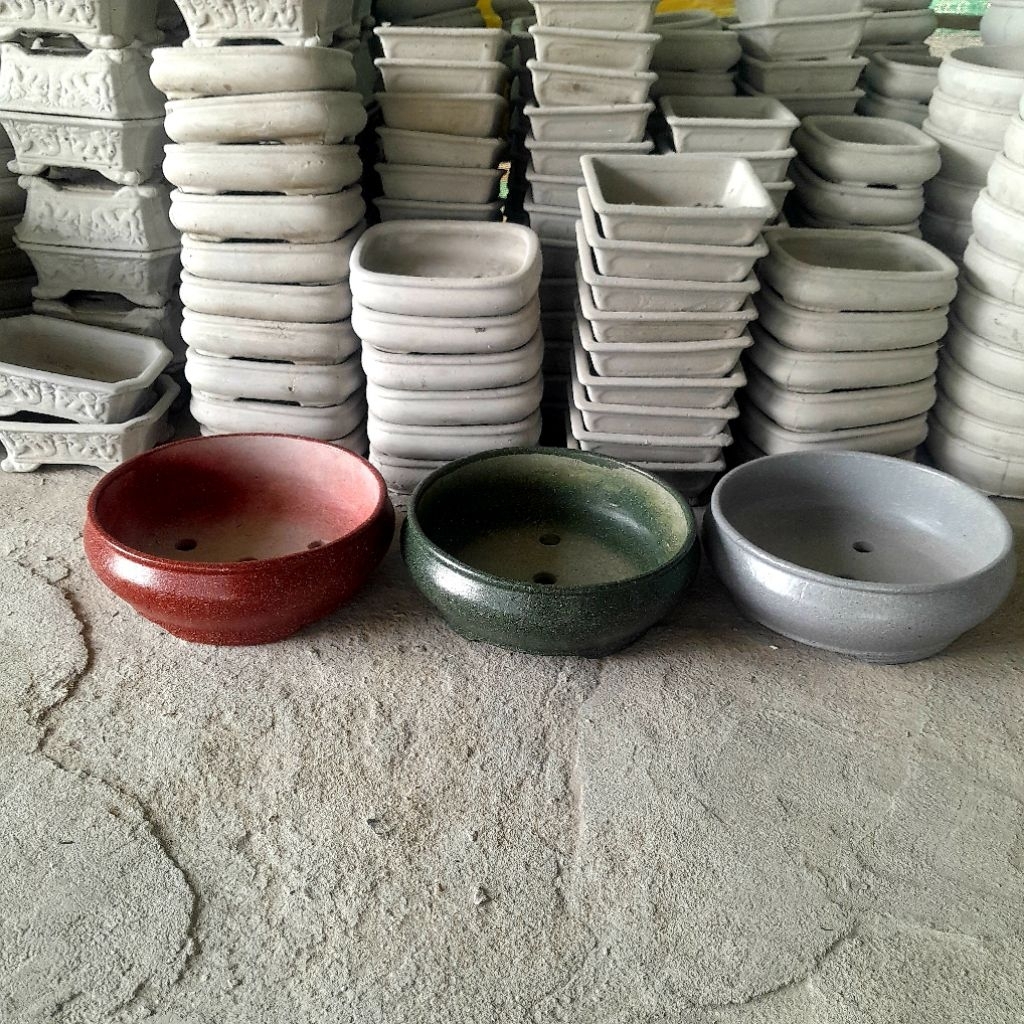 Chậu trồng cây bonsai để bàn