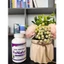 Viên uống FENATAL David Health, Hỗ trợ Bổ Sung Sắt Cho Mẹ Bầu Và Mẹ Cho Con Bú
