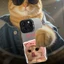 Ốp Lưng iPhone IMD CHÓ MÈO SO CUTE, Chống Sốc, Bảo Vệ Camera dành cho iP 7/8/X/XSMAX/11/12/13/14/15/16/17/Pro/Max