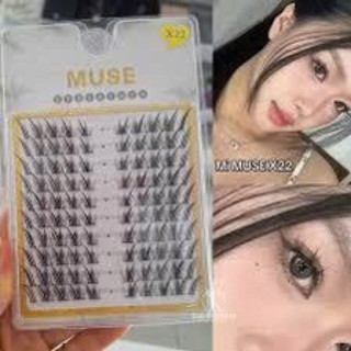 mi MUSE HOTHIT