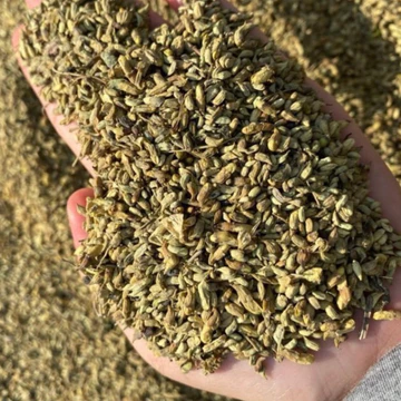 Nụ Hoa Hòe Đã Sao Loại Ngon / Trà Hoa Hoè Sấy Khô Nguyên Chất - Trọng Lượng 1Kg