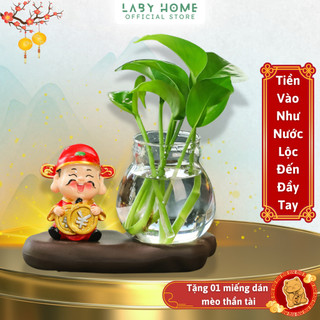 Bình Thủy Canh Ông Thần Tài Năm Mới - Mang Lộc Phát, Thanh Lọc Không Khí, Trang Trí Phong Thủy