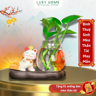 Bình Thuỷ Canh Để Bàn Trang Trí Kèm Tượng Mèo Chiêu Tài, Lọ Thuỷ Sinh Có Đế Và Tượng Decor Thư Giãn
