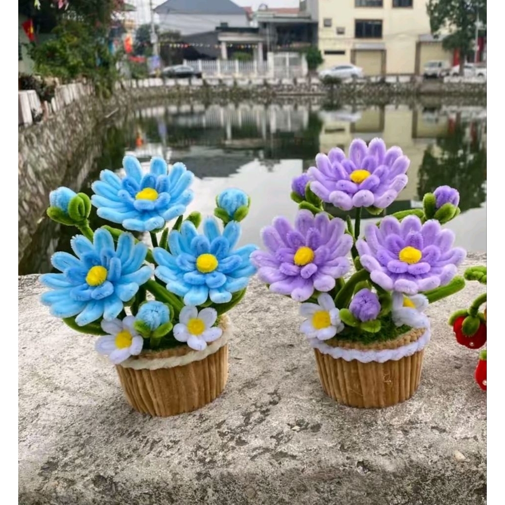 Chậu Hoa Tigon Kẽm Nhung Trang Trí, Quà Tặng Xinh Xắn