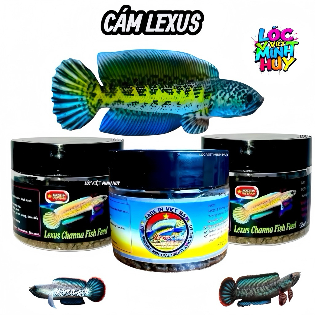 Cá lóc nữ hoàng - Giá Tốt, Sale Tháng 10, Ship 0 Đồng | Shopee Việt Nam