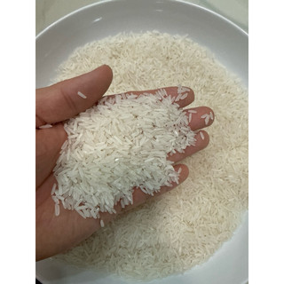 Gạo ST25 HỖN HỢP túi 5KGS, gạo ngon giá tốt