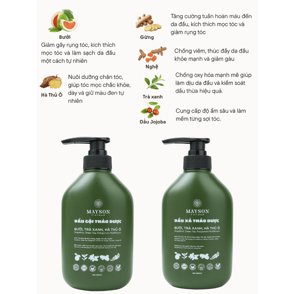 Combo Dầu Gội Xả Thảo Dược Bưởi - Hà thủ ô - Trà xanh - Gừng - Nghệ MaySon
