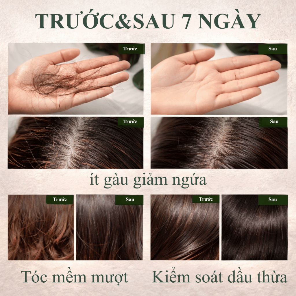 Cặp Dầu Gội Xả Thảo Dược Bưởi - Hà thủ ô - Trà xanh - Gừng - Nghệ MaySon