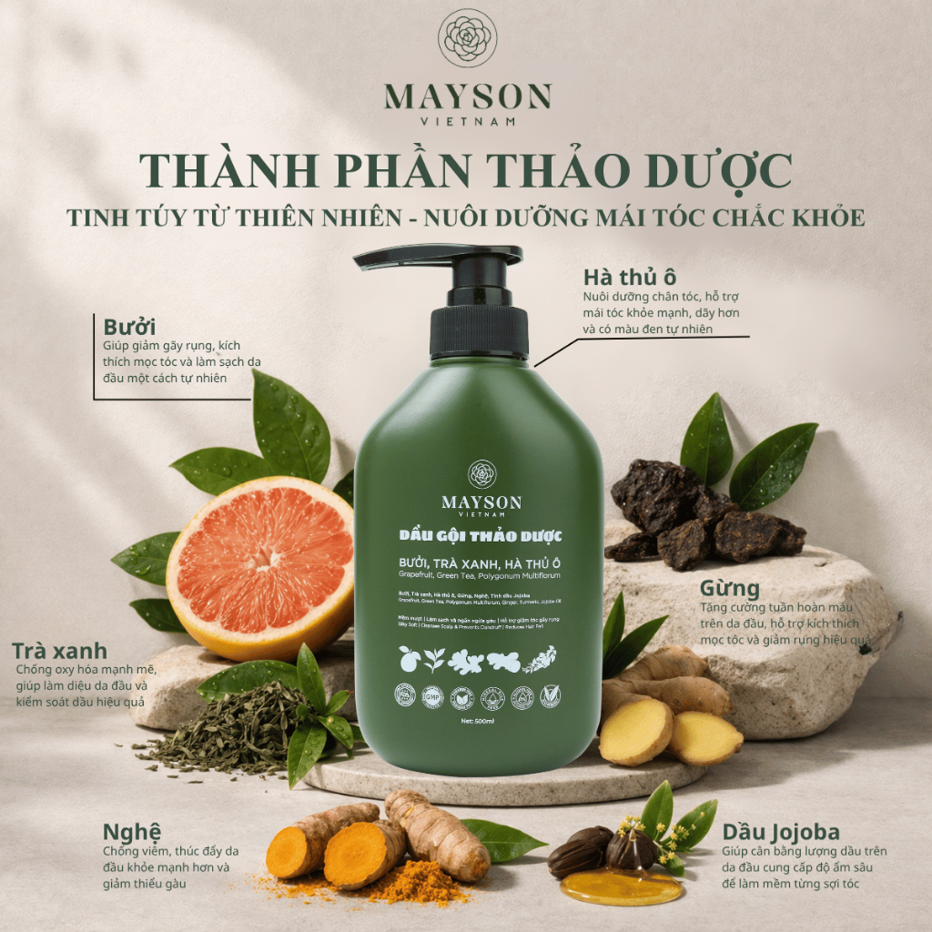 Cặp Dầu Gội Xả Thảo Dược Bưởi - Hà thủ ô - Trà xanh - Gừng - Nghệ MaySon
