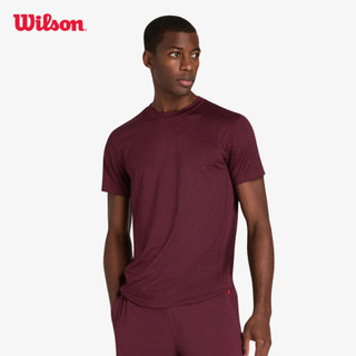 Wilson Everyday Performance Tee Áo Thun Nam Thể Thao WM00011531WIE