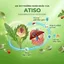 Cao ống atiso không đường Ammu mẫu mới gấp đôi hàm lượng tinh chất atiso hộp 10 ống 10 ml