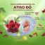Trà Atiso Đỏ Túi Lọc AMMU Kết Hợp Cỏ Ngọt Hương Thanh Nhẹ Dễ Uống Giải Khát Tự Nhiên Hộp 20 Túi Lọc