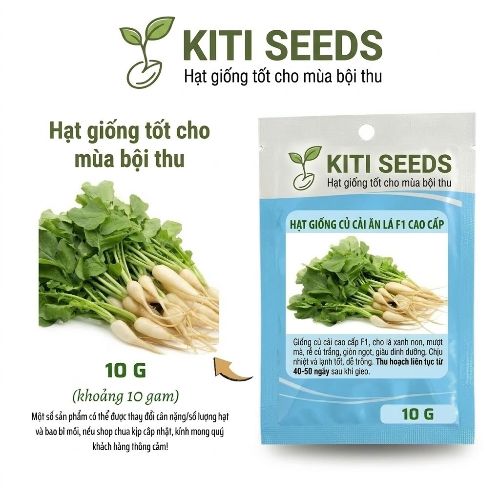 Hạt Giống Các Loại Củ – Củ Cải Tím, Su Hào Tím, Củ Cải Trắng, Củ Cải Đỏ