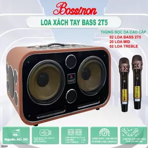 Loa Karaoke xách tay Bossinon N2536K - 24 Đường Tiếng, Công Suất 1200W, 2 Bass 25Cm