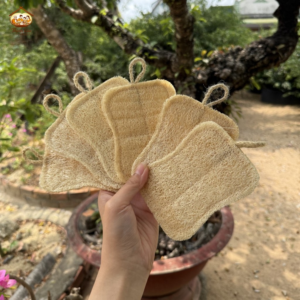 Xơ Mướp Rửa Chén Bát, Xoong Nồi An Toàn Cho Da Tay, Thân Thiện Môi Trường, Rửa Chén Bát Không Trầy Xước