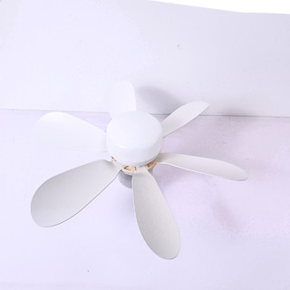 Quạt Trần Đèn LED TPE, tích hợp đèn LED và quạt đa năng, tiết kiệm không gian FB/6016