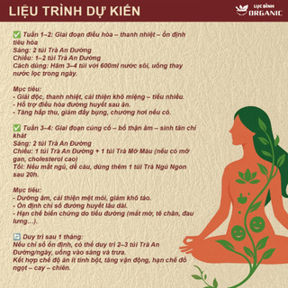 Trà Thảo Mộc An Đường - Giải Pháp Hỗ Trợ Cân Bằng Chỉ Số Cơ Thể Tự Nhiên Lụcbìnhorganic - Bịch 30 Túi Lọc