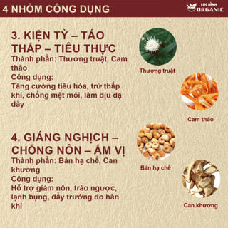 Trà An Vị Trào Ngược Dạ dày - LụcBình0rganic - Thanh nhiệt, tả hỏa và Giảm nhanh ợ chua, ợ nóng phục, hồi tiêu hóa