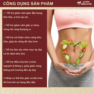 Trà An Vị Trào Ngược Dạ dày - LụcBình0rganic - Thanh nhiệt, tả hỏa và Giảm nhanh ợ chua, ợ nóng phục, hồi tiêu hóa