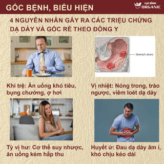Trà An Vị Trào Ngược Dạ dày - LụcBình0rganic - Thanh nhiệt, tả hỏa và Giảm nhanh ợ chua, ợ nóng phục, hồi tiêu hóa