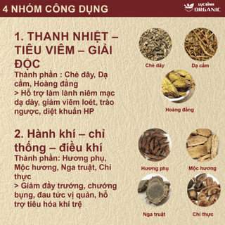 Trà An Vị Trào Ngược Dạ dày - LụcBình0rganic - Thanh nhiệt, tả hỏa và Giảm nhanh ợ chua, ợ nóng phục, hồi tiêu hóa
