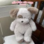 Gấu bông cún trắng nâu 40cm dễ thương – thú nhồi bông mềm mịn cao cấp, quà tặng bạn gái cực xinh