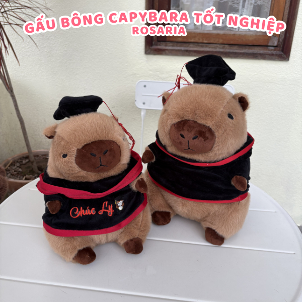 Gấu Bông Tốt Nghiệp Capybara 30cm, 35cm Thêu Theo Yêu Cầu - Gấu Bông Cử Nhân Quà Tặng Ý Nghĩa