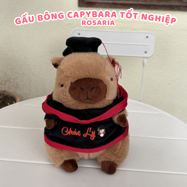 Gấu Bông Tốt Nghiệp Capybara 30cm, 35cm Thêu Theo Yêu Cầu - Gấu Bông Cử Nhân Quà Tặng Ý Nghĩa