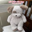 Gấu Bông Cún Trắng Nâu 40cm Cao Cấp – Thú Nhồi Bông Chó Dễ Thương, Gối Ôm Mềm Mịn, Quà Tặng Cute - ROSA GIFT HOUSE