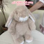 Gấu Bông Thỏ Nâu 40cm Cao Cấp – Thú Nhồi Bông Thỏ Tai Dài Dễ Thương, Gối Ôm Siêu Mềm - ROSA GIFT HOUSE