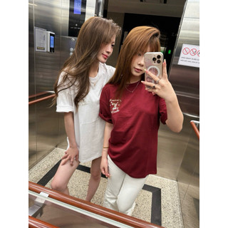 Áo thun lệ v thêu hoạ tiết hoa nhỏ trước sau chất vải cotton thời trang nam nữ, áo phông lệ v thêu chi tiết form rộng