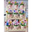 Chậu Tulip Kẽm Nhung Mix Màu Siêu Xinh