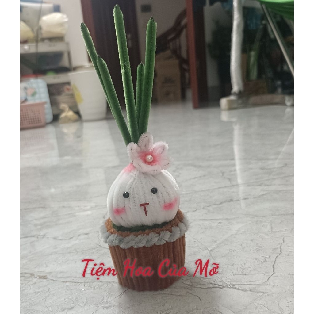 Chậu Củ Hành Kẽm Nhung Xinh Xắn