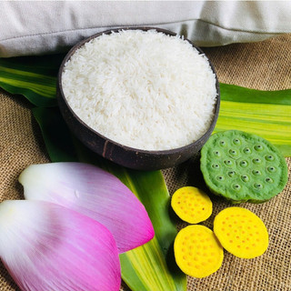 Gạo Dẻo Thơm Hạt Dài 5kg, Giàu Đạm Mềm Ngọt Cơm Ngon, Tơi Không Khô | Gạo Thuần Nguyên TN35