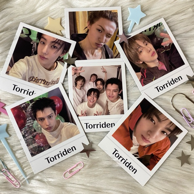 [Torrdien x Cortis] Pola Cortis chính hãng offical