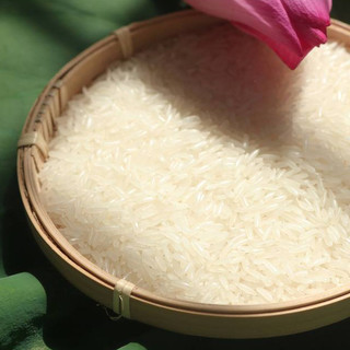 Gạo ST25 Chính Hãng Lúa Tôm Dẻo Thơm Mềm, Ngọt Cơm Hương Lá Dứa | Gạo Thuần Nguyên