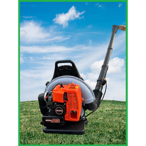 Máy thổi lá cây, máy thổi dọn xưởng và sỏi đá trong công trình xây dựng v.v. - CS 5500W