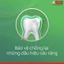 Kem Đánh Răng Colgate Maxfresh, Ngừa Sâu - Kem Đánh Trắng Răng Bạc Hà The Mát, Sạch Sâu - Japari