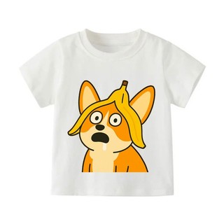 👕 Áo Thun Bé Gái mềm mịn thoáng mát in hình dễ thương 👕 AT713