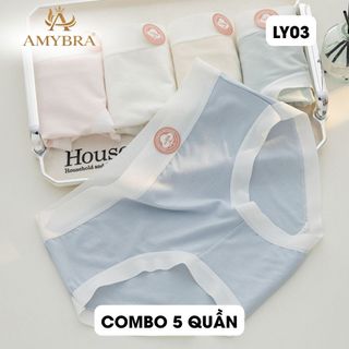 Combo 5 Quần Lót Nữ Viền Su Lụa Mềm Mại, Set 5 Quần Chip Nữ Đáy May Kháng Khuẩn AMYBRA L1164