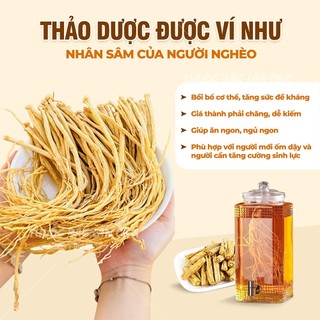 Đẳng sâm 500g, đảng sâm khô, sợi to, vàng, pha trà, sắc nước, tốt cho sức khỏe - Thuốc bắc lãn ông