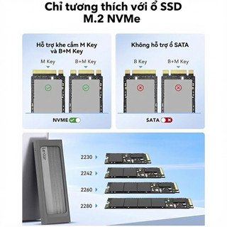 Box SSD Lexar E300 M.2 Nvme Enclosure hỗ trợ USB 3.2 Gen 2, Tốc độ cao 10Gbps, Bảo hành chính hãng 12 tháng