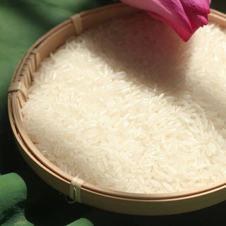 Gạo ST25 Chính Hãng Lúa Tôm 5kg Dẻo Thơm Mềm Ngọt Cơm Hương Lá Dứa | Gạo Thuần Nguyên