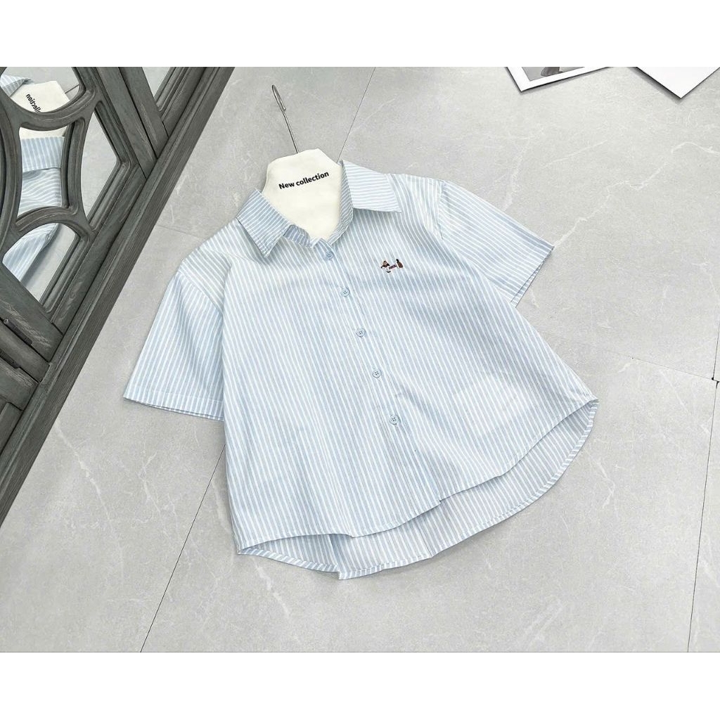 [𝑯𝒂 𝑨𝒏𝒉] Áo Sơ Mi Cộc Kẻ Chó QCL1