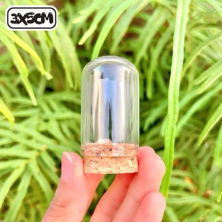 Lọ Thuỷ Tinh Úp Ngược- Lọ Thuỷ Tinh Nút Bần Nhỏ - Chai lọ thủy tinh trang trí - Lọ đựng hạt vàng (Chi tiết ở mô tả)